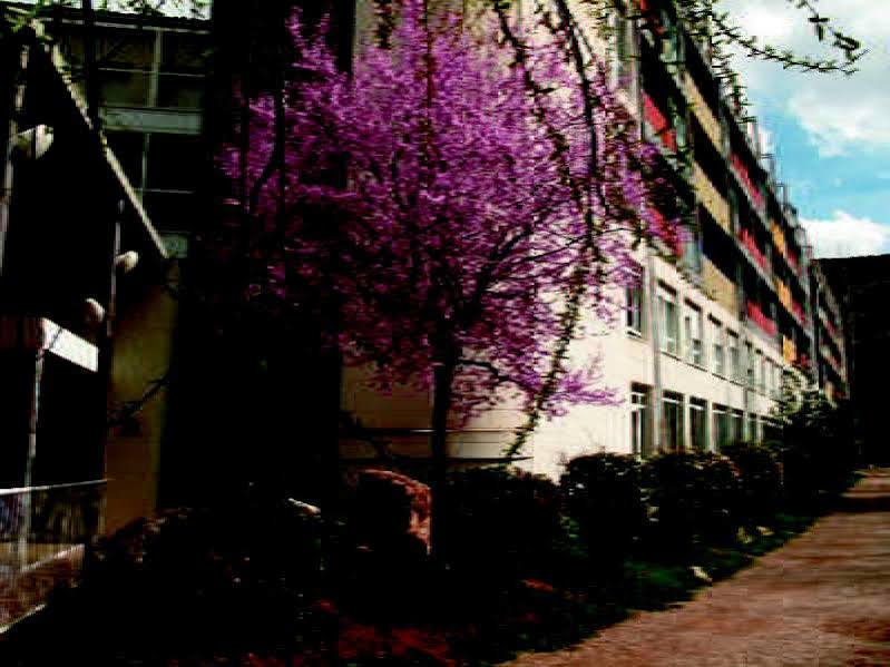 Hotel Balneario Sicilia Jaraba Zewnętrze zdjęcie